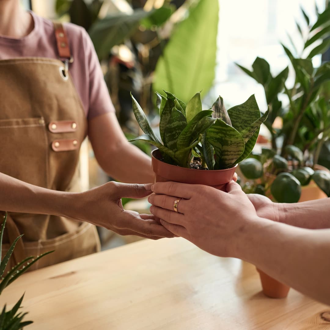 Þjónusta-Þjónusta-img