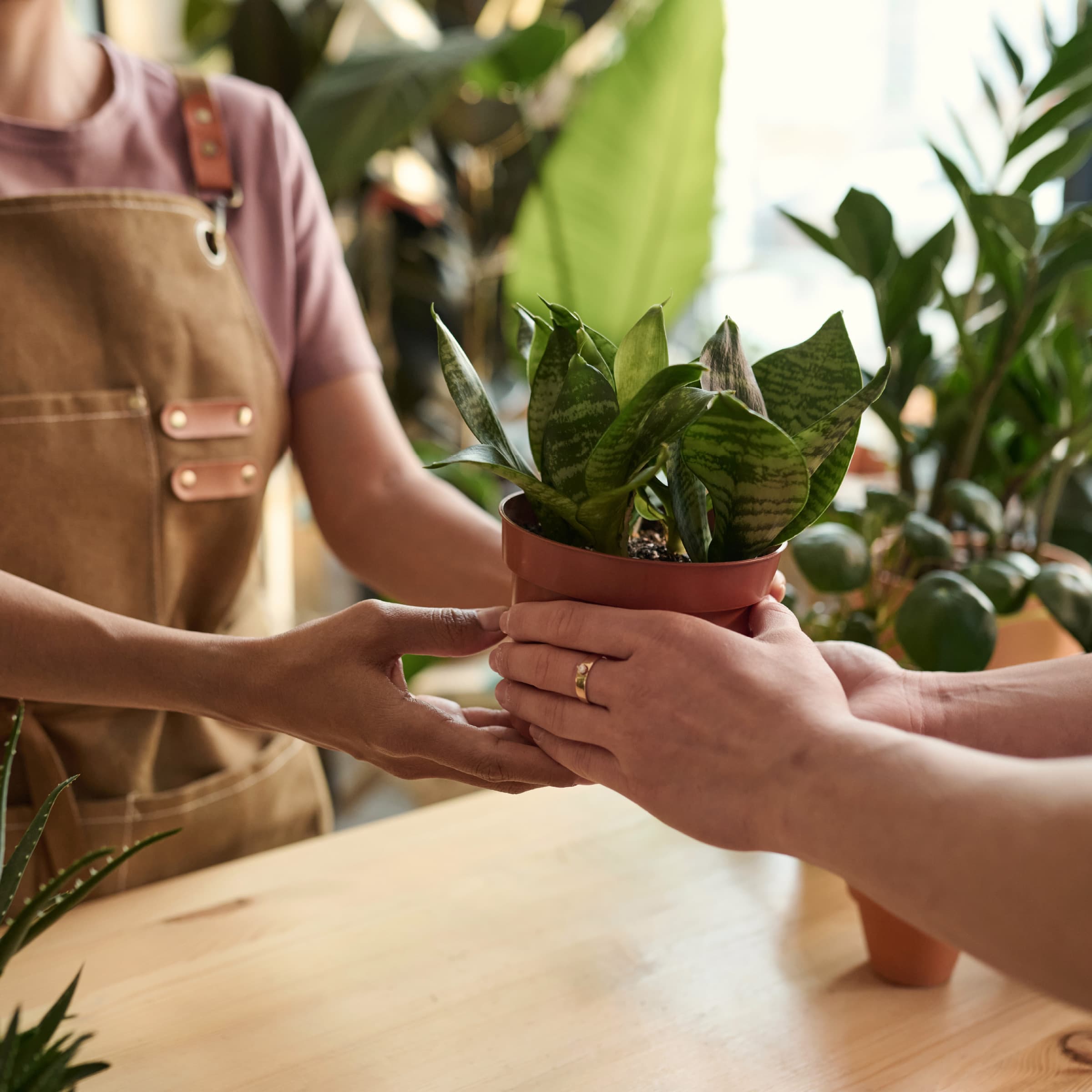 Þjónusta-Þjónusta-img