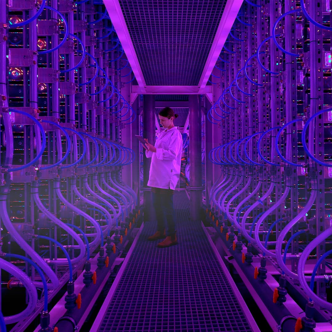 Vaxa 2-Vaxa 2-img
