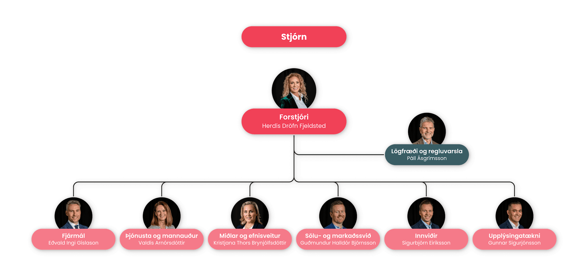 skipurit-skipurit-img